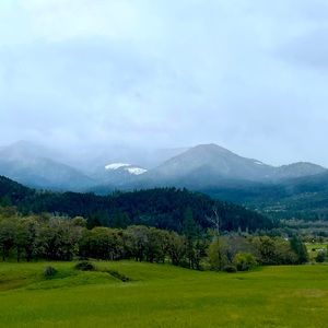 Meet your Posher, JB!